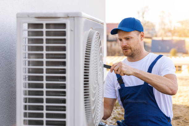 Best Best HVAC Companies  in Lake Isabella, MI